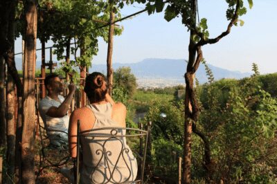 Naples: Pompeii and Herculaneum Tour with Tickets and Lunch - Pompeii: skip the ticket line, then let the guide drive