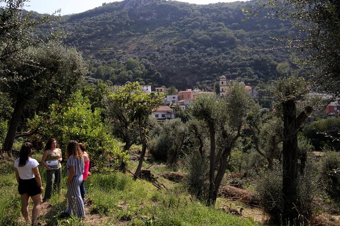 Olive oil tasting in Sorrento - What you’re really paying for: value of a $48.66 tasting
