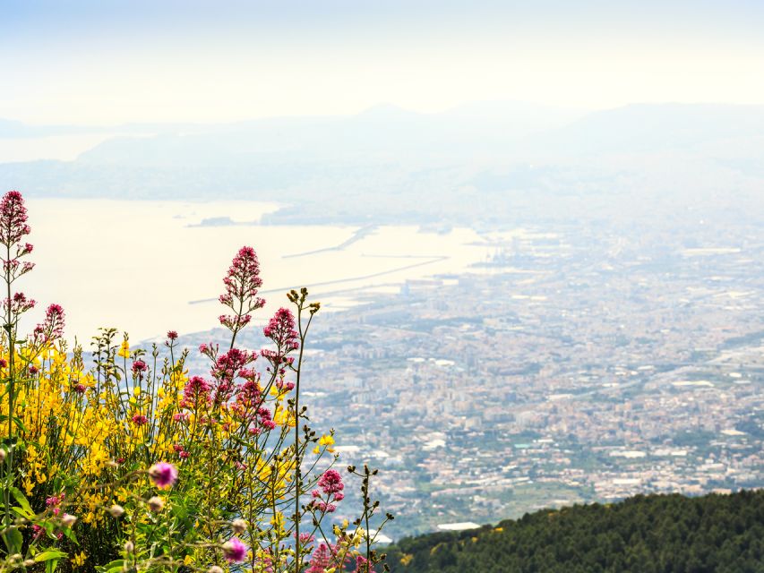 Pompei: Pompeii and Vesuvius Combo with Transfer and Tickets - Should you book it?