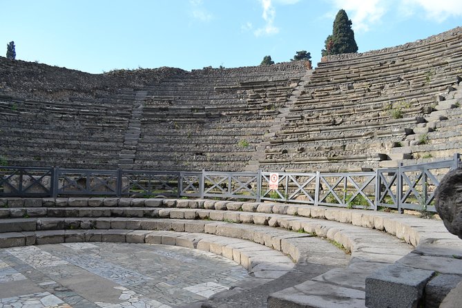 Pompeii 3 Hours Walking Tour Led by an Archaeologist - House of Faun and the Odeon: elite space and Roman entertainment