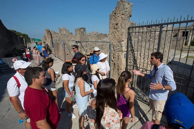 Pompeii and Herculaneum Small Group Tour with an Archaeologist - Pompeii and Herculaneum in one day, with less guesswork