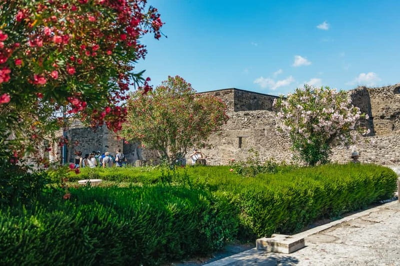 Pompeii: Archaeological Park Tour with Ticket on request - The 2-hour walking route: how much Pompeii you can realistically see