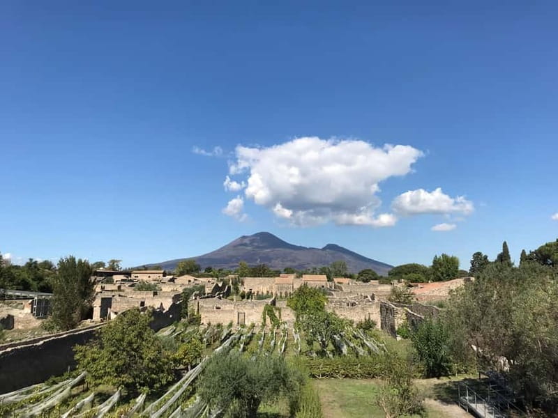 Pompeii: Archeological Tour & Wine Tasting at Mt. Vesuvius - Who this tour is best for (and who might want a different plan)