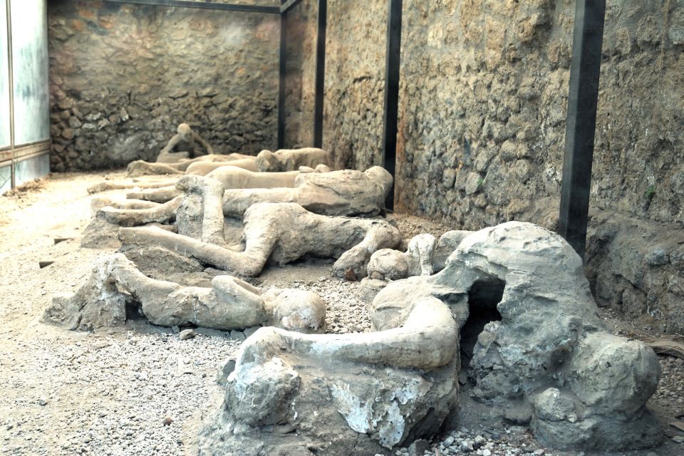 Pompeii: Entry Ticket with Optional Audio Guide - Pompeii in One Day: What Your Reserved Entry Ticket Really Does