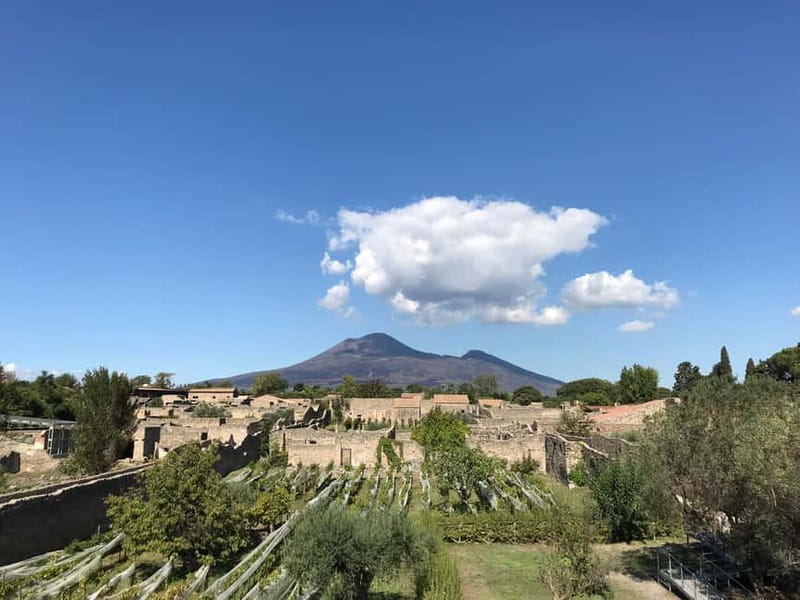 Pompeii: Exclusive Tour with Archaeologist and Entry Tickets - Key points at a glance