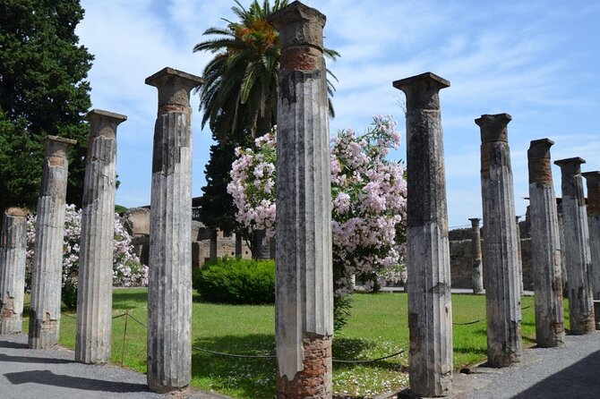 Pompeii: Guided Small Group Tour Max 6 People with Private Option - Price and value: is $168.17 worth it?