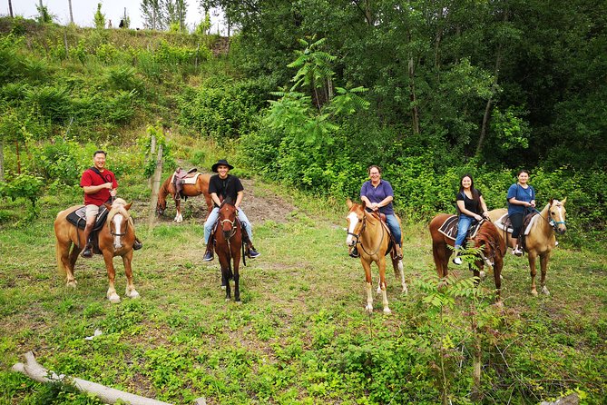 Pompeii Guided Tour & Horse Riding on Vesuvius with Lunch - Lunch, wine tasting, and what you can realistically expect to eat