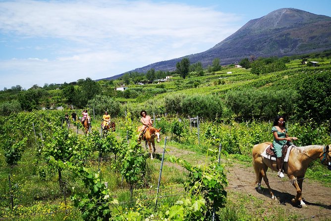Pompeii Guided Tour & Horse Riding on Vesuvius with Lunch - Stop by stop: what you’ll do and what to watch for