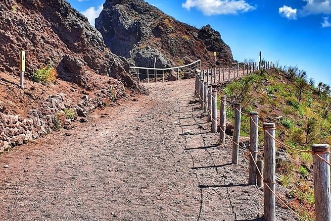 Pompeii & Mount Vesuvius Tour with Guided Visit, Tickets & Lunch - Pompeii With a Guide: How a 2-Hour Visit Can Still Make Sense