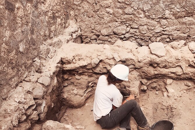 Pompeii Private Tour with an Archaeologist and Skip The Line - Who this tour suits best