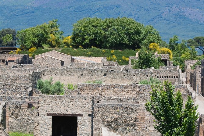 Pompeii Ruins Half-Day Tour from Sorrento with Guide - Timing and the bathroom/queue problem