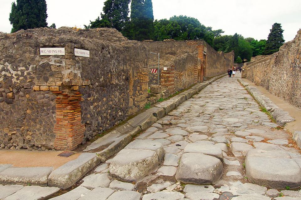 Pompeii: Skip-the-Line Guided Tour with Expert Archaeologist - Casts, Catastrophe, and the Human Scale of 79 AD