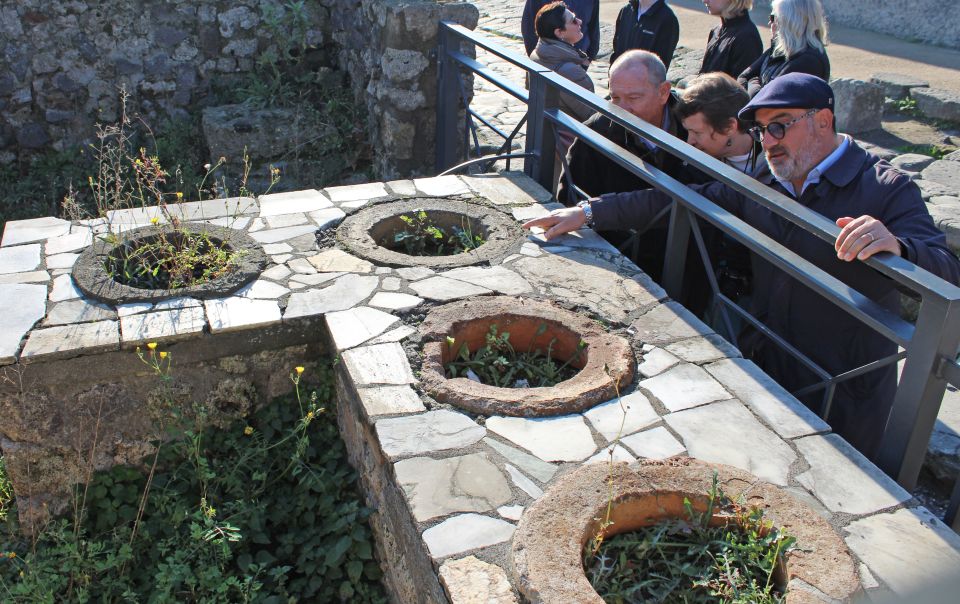 Pompeii: Skip-the-Line Tickets and Tour with Archaeologist - Who Should Book This Pompeii Archaeologist Tour?