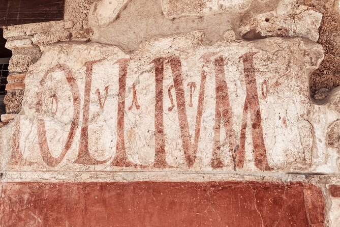 Pompeii Small Group with an Archaeologist and Skip The Line - Cross the Main Street and Let Color Do the Teaching