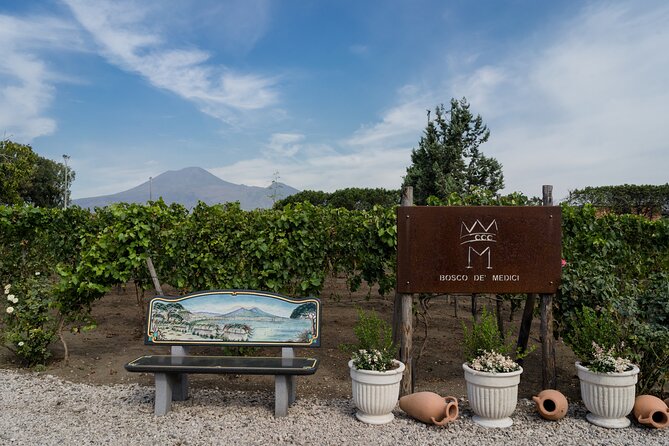 Pompeii Vineyard Escape: Private Wine Tasting & Lunch - The 79 AD Necropolis Walk: Pompeii’s Story Moves Beyond the Stones