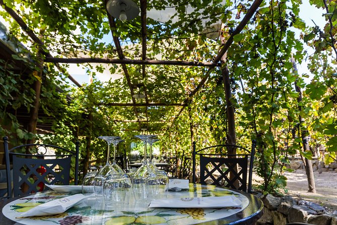 Pompeii Vineyard Escape: Private Wine Tasting & Lunch - Dietary Needs and Family-Friendly Details That Actually Help