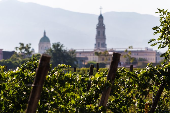 Pompeii Vineyard Escape: Private Wine Tasting & Lunch - Wine Tasting That Actually Feels Structured: 3 Wines and a Sparkling One