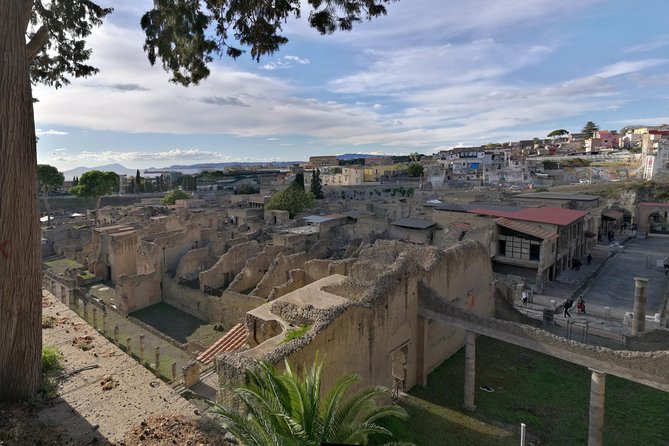 Private Day Tour to Vesuvius, Herculaneum & Pompeii with Pick Up - Pickup and timing: how to reduce stress before you even start
