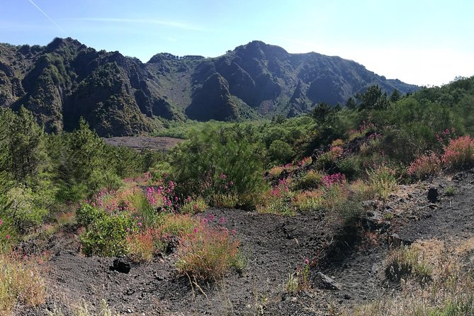 Private Day Tour to Vesuvius, Herculaneum & Pompeii with Pick Up - Should you book this private Pompeii, Herculaneum, and Vesuvius tour?