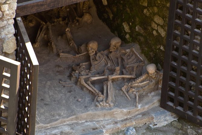 Private Day Tour to Vesuvius, Herculaneum & Pompeii with Pick Up - Pompeii Archaeological Park: gates, the Forum, baths, and famous homes