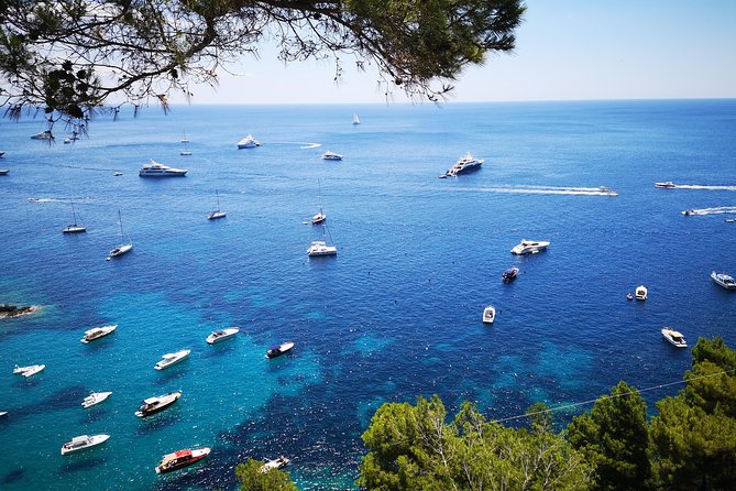 Private Island of Capri Boat Tour for Couples - Morning vs Afternoon Departure: Which One to Pick?