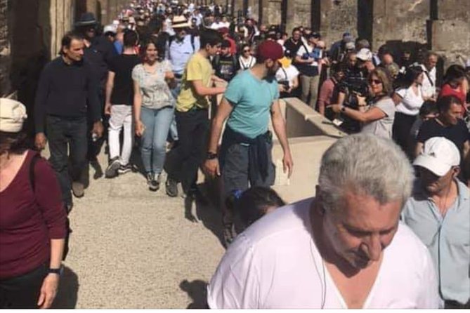 Sharing Tour of Pompeii - What You’re Getting: Private Guide, Sharing-Style Name, Real Control