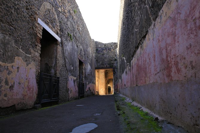 Skip the Line Guided Tour of Pompeii led by an Archaeologist - Price and value: what $95.53 buys you (and what it doesn’t)