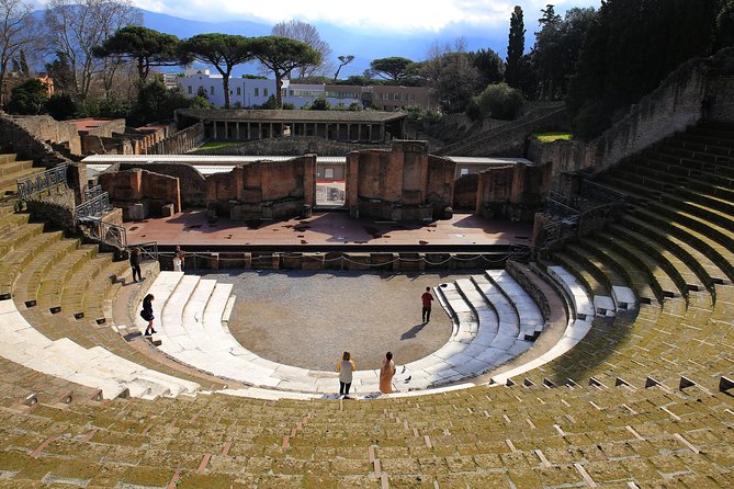 Skip-the-Line Half-Day Private Tour Ancient Pompeii Highlights with Native Guide - The Forum and Pompeii’s markets: power, commerce, and everyday life
