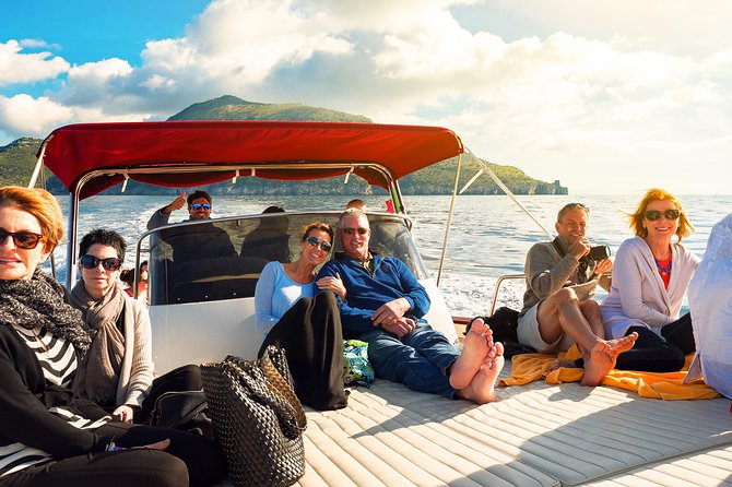 Small Group Boat Tour: Day Cruise from Sorrento to Capri - Four Hours of Capri Free Time: Enough to Choose Your Own Day