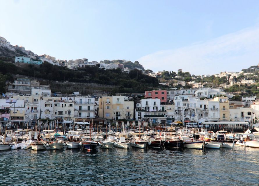 Sorrento: Capri, Anacapri and Blue Grotto Guided Tour - Key highlights that make this day trip work