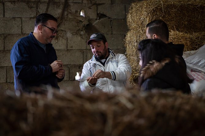 Sorrento Farm by Tuk Tuk: Cheese, Limoncello & Hands-On Pizza - Olive Oil and Cheese Factory Stop: From Tasting to Seeing the Process