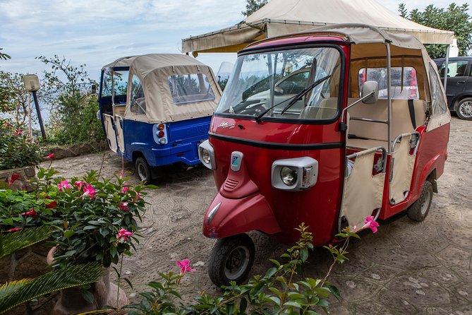 Sorrento Farm by Tuk Tuk: Cheese, Limoncello & Hands-On Pizza - Pizza-Making Class: Learn Neapolitan Dough and Bake Your Own