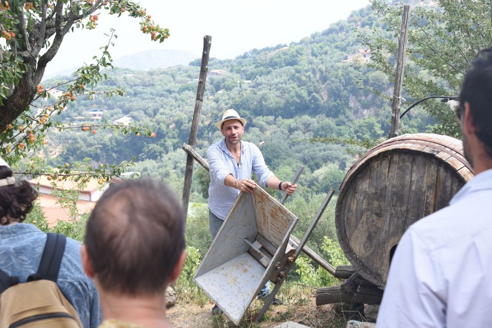 Sorrento: Farm Tour with Cheese Tasting & Pizza Making Class - Entering Primaluce: a Sorrento Hill Farm That Feels Like Family Time