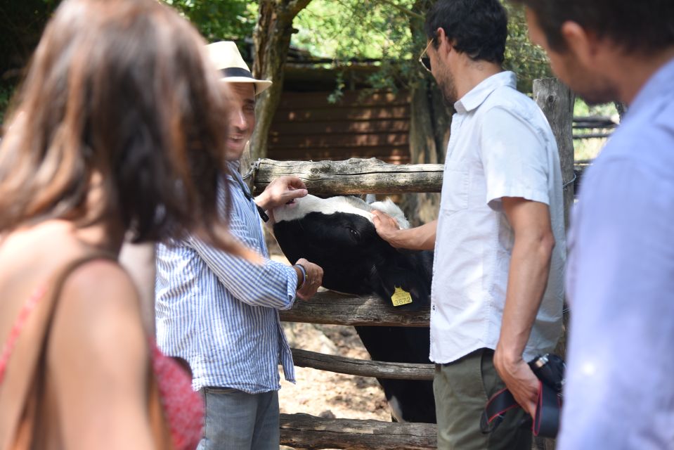 Sorrento: Farm Tour with Cheese Tasting & Pizza Making Class - Value in Plain Terms: Why This Bundle Adds Up