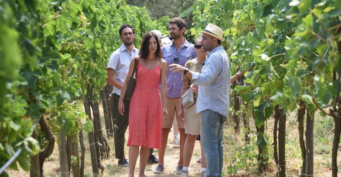 Sorrento: Farm Tour with Cheese Tasting & Pizza Making Class - Walking the Farm: Animals, Crops, Vineyard, Citrus, and Oil