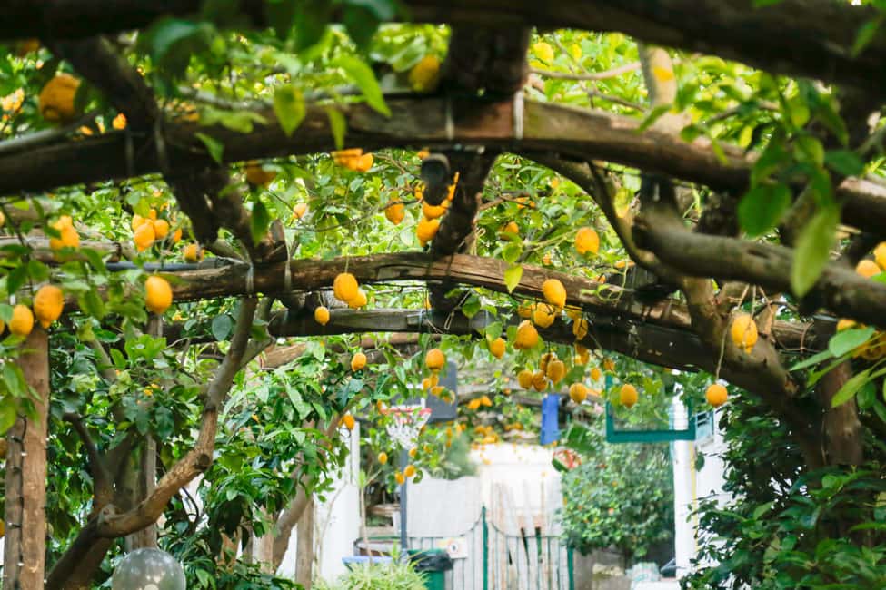 Sorrento: Guided Walking Tour & Street Food Experience - Via Santa Maria della Pietà and the San Francesco Cloister