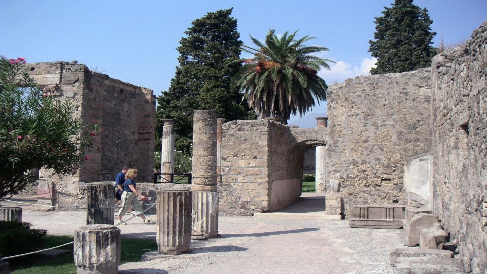Sorrento: Pompeii & Herculaneum Tour with Skip-the-Line - What the guide actually adds (names to watch for)