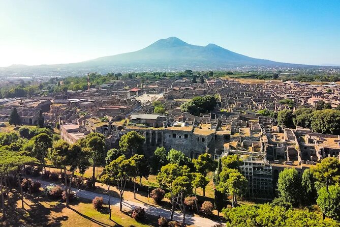 Stories of Pompeii: Small Group tour with archeology expert guide - Who this tour is best for